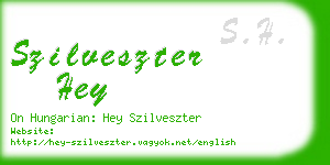 szilveszter hey business card